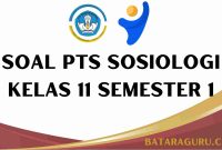 Soal PTS Sosiologi Kelas 11 Semester 1